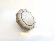 Innenausstattung Renault Scenic, II 2003.06 - 2006.06 5121128, mp5302