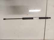 Gasdruckfeder Kofferraum Renault Scenic, III 2009.02 - 2013.06 904500004r,