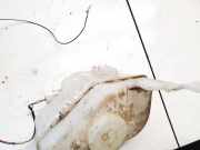 Scheibenwaschbehälter Vorne Wischwasserbehälter Mazda 323, 1994.01 - 1998.09 860142058, 860142-058