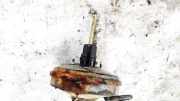 Bremskraftverstärker Volkswagen Lupo 1998 - 2005 6N1612105F, AKU