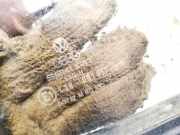 Dreieck Seitenscheibe - Vorne Rechts Volkswagen Golf, II 1983.08 - 1992.07 dot27m90as2,