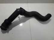 Intercooler Schlauch Peugeot 406, 1995.11 - 1999.03 724055,