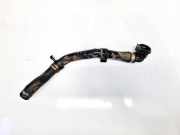 Kühlerschlauch Opel Vectra, C 2002.04 - 2005.10 Gebraucht,