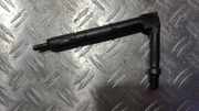 Einspritzdüse Nissan Almera, N16 2000.06 - 2003.01 Z484391, Z48-4391