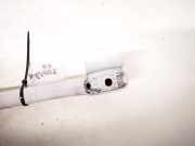 Haltegriff Haltegriff Verdeckgriff - Hinten Rechts Fiat Ulysse, II 2002.06 - 2014.12 Gebraucht,