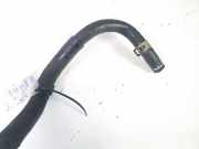 Kühlerschlauch Nissan Almera Tino 2000.08 - 2003.09 Gebraucht,