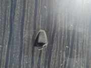 Waschwasserdüse Scheibenreinigung Volvo S60, 2000.01 - 2005.01 Gebraucht,