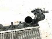 Wasserk?hler Nissan Almera, N15 1995.07 - 1998.06 Gebraucht,