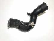 Schlauch für Luftversorgung Renault Megane, I 1995.11 - 1999.02 7700866642,