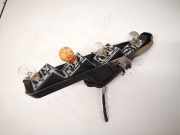 Lampentr?ger Heckleuchte - Hinten Renault Scenic, II 2003.06 - 2006.06 Gebraucht,