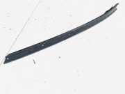 Schutzleiste Tür - Vorne Linke Mercedes-Benz w209, 2002.06 - 2009.12 Gebraucht,