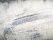 Radhausschale - Vorne Rechts Honda HR-V, I 1999.01 - 2006.12 74101s2h0000,74101-s2h-0000