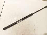 Gasdruckfeder Kofferraum Nissan Murano, Z50 2003.08 - 2008.06 Gebraucht,