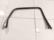 Schutzleiste Tür - Hinten Linke Renault Scenic, II 2003.06 - 2006.06 Gebraucht,
