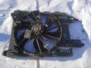 Kühlerlüfter Lüftermotor Renault Megane, II 2002.11 - 2006.06 Gebraucht,