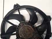 Kühlerlüfter Lüftermotor Citroen C5, II 2008.02 - 2011.01 Gebraucht,