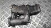 Ansaugkrümmer Seat Toledo, 1999.04 - 2006.05 038129713j,
