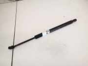 Gasdruckfeder Kofferraum Chrysler 300C, I 2005.01 - 2010.06 Gebraucht,