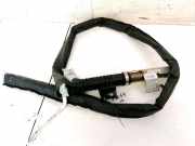 Kopfairbag - Vorne Linke Renault Megane, II 2002.11 - 2006.06 8200114849B,303452000492