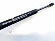 Gasdruckfeder Kofferraum Chrysler Sebring, III 2007.05 - 2010.12 112065,