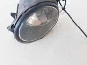 Nebelscheinwerfer - Vorne Linke Renault Laguna, II 2001.03 - 2006.05 8200002469,