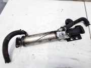 Abgaskühler AGR-Kühler Citroen Jumper, I 2002.04 - 2006.06 facelift 869688X,E8540765