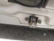 Türfangband Türbremse Türstopper - Vorne Linke Opel Signum, 2003.05 - 2008.06 Gebraucht,