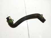 Kühlerschlauch Renault Zoe I 2012 - 2020.06 Gebraucht,
