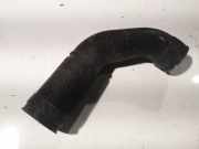 Schlauch für Luftversorgung Renault Laguna, I 1994.01 - 2001.03 7700870674,
