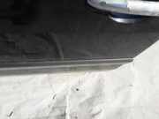 Zierleiste T?r Zier-Schutzleiste - Vorne Linke Renault Laguna, II 2001.03 - 2006.05 Gebraucht,