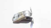 Türscharnier Hinten Opel Antara, 2006.01 - 2010.08 Gebraucht,