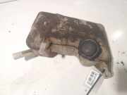 Ausgleichsbehälter Renault Scenic, II 2003.06 - 2006.06 Gebraucht,