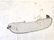 Kühlergrill Frontgrill Kühlergitter Rover 45, 2000.02 - 2005.05 Gebraucht,