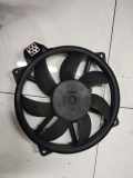 Kühlerlüfter Lüftermotor Renault Megane, III 2008.11 - 2012.06 M135493, M135493 100626205