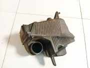 Luftfilterkasten Renault Scenic, II 2003.06 - 2006.06 8200369755,8200369755 8200369806 8200176558
