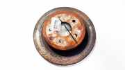 Bremsscheibe Hinterachse Nissan X-Trail, 2001.06 - 2007.06 ventiliuojamas,