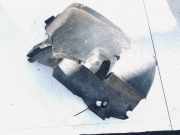 Radhausschale - Vorne Linke Chevrolet Tacuma, 2000.01 - 2008.12 96262401,