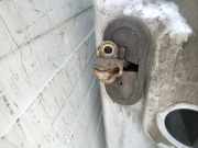 T?rfangband T?rbremse T?rstopper - Vorne Linke Alfa-Romeo 166 1998.09 - 2003.10 Gebraucht,