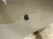 Waschwasserdüse Scheibenreinigung Subaru Forester, II 2002.06 - 2007.12 Gebraucht,