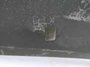 Waschwasserdüse Scheibenreinigung Volkswagen Sharan, 7M 1995.09 - 2000.04 melsvas, 1z