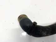 Kühlerschlauch Renault Scenic, II 2006.06 - 2009.02 facelift Gebraucht,