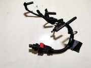 Zündkabel Opel Zafira, B 2005.07 - 2008.01 Gebraucht ,