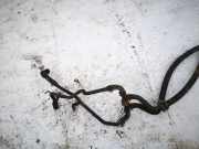 Kühlerschlauch Fiat Ulysse, II 2002.06 - 2014.12 Gebraucht,