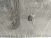 Waschwasserdüse Scheibenreinigung Ford C-MAX, 2003.01 - 2007.06 Gebraucht,