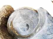 Hupe Volkswagen Touran, 2003.01 - 2006.10 e9011157, BRU