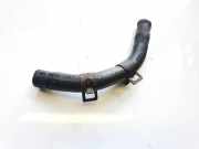 Kühlerschlauch Hyundai Trajet, 2000.03 - 2008.07 Gebraucht,