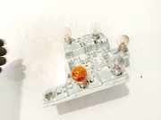 Lampenträger Heckleuchte - Hinten Volvo S40, 2004.01 - 2007.03 28138007,