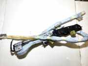 Kopfairbag - Vorne Rechts Toyota Prius, 2003.06 - 2009.01 300520708q42,