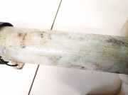 Scheibenwaschbeh?lter Vorne Wischwasserbeh?lter Ford Mondeo, 1992.12 - 1996.09 93bg17618aa,93bg-17618-aa