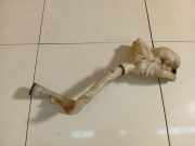 Scheibenwaschbehälter Vorne Wischwasserbehälter Citroen DS3, I 2009.01 - 2016.06 9683988680, 96 839 886 80